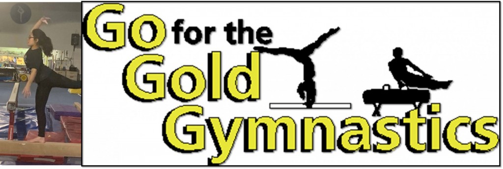 Go for the Gold Gymnastics